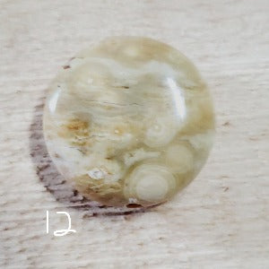 Ocean Jasper Coin