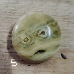 Ocean Jasper Coin