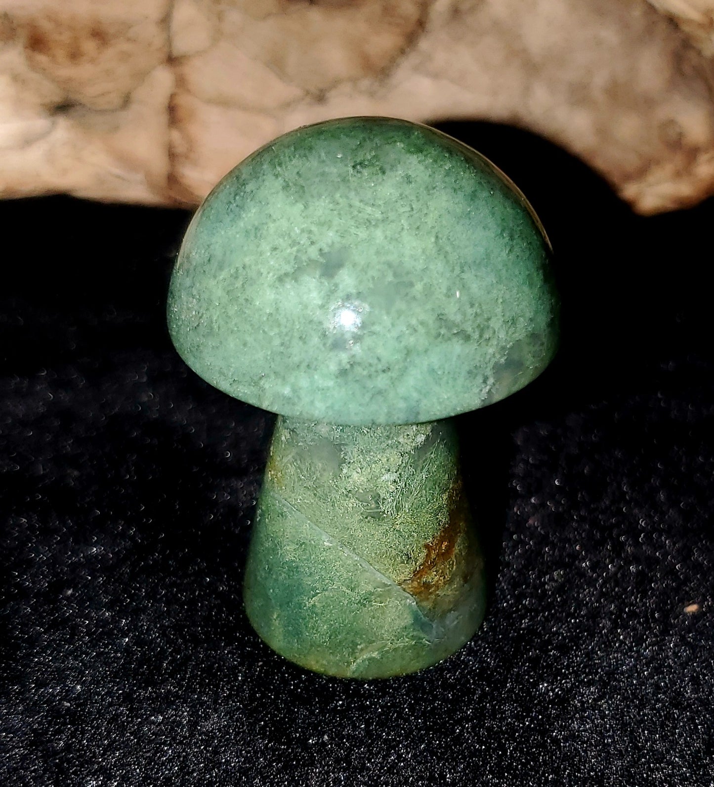 Medium Mushroom