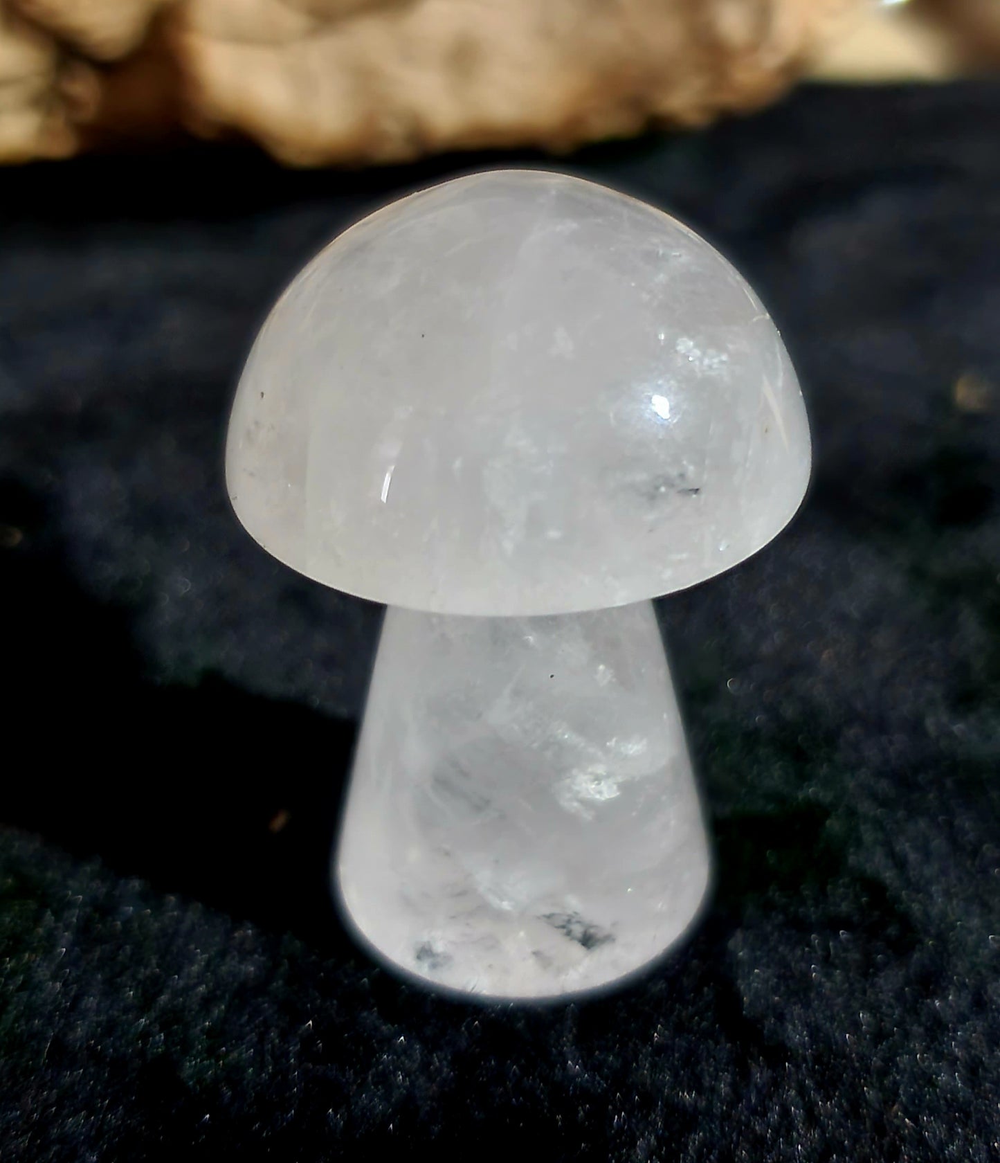 Medium Mushroom