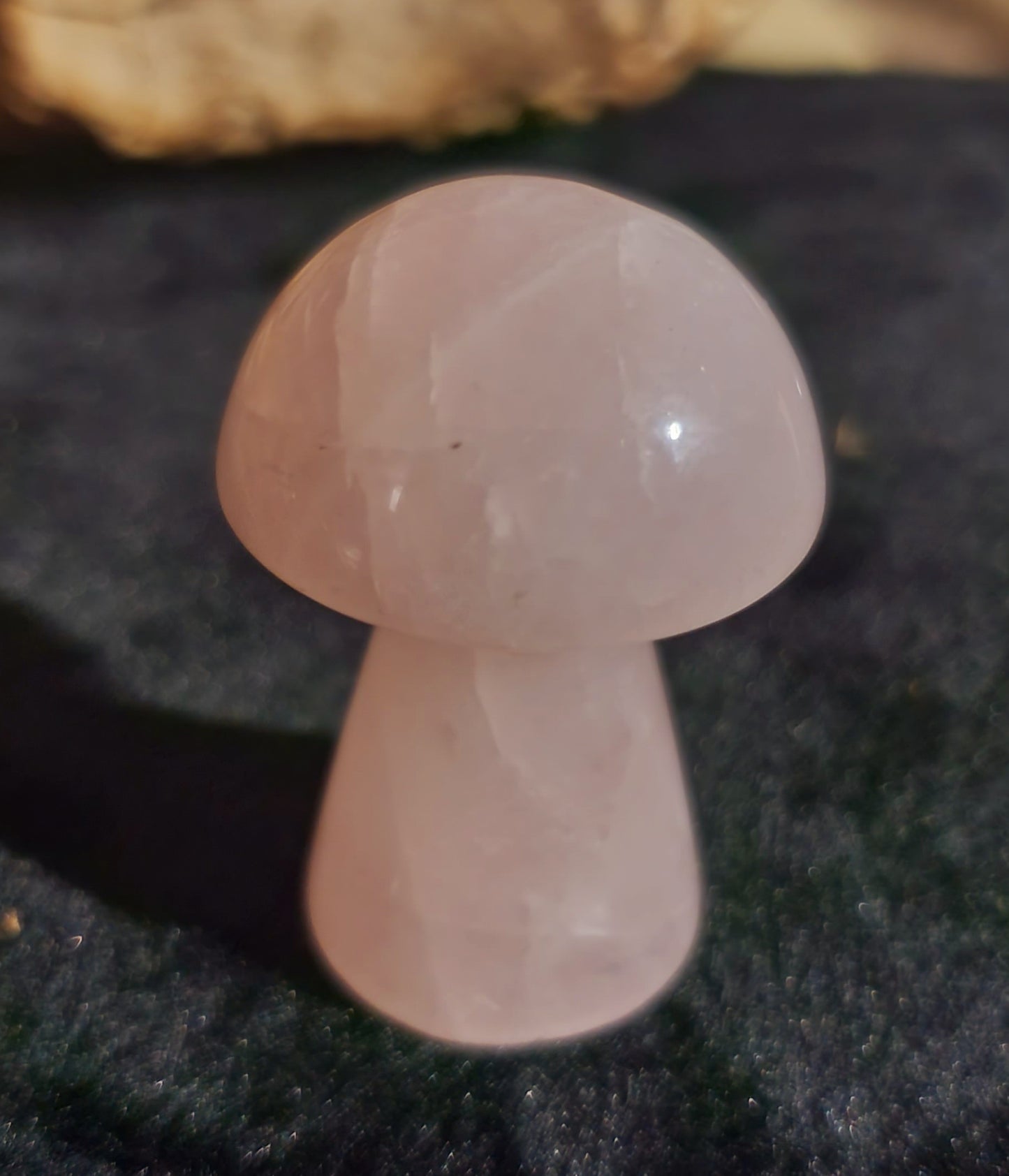 Medium Mushroom