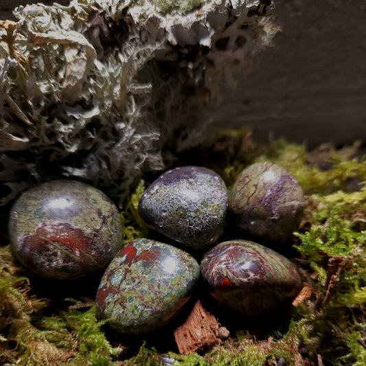 Dragons Blood Jasper Tumbles