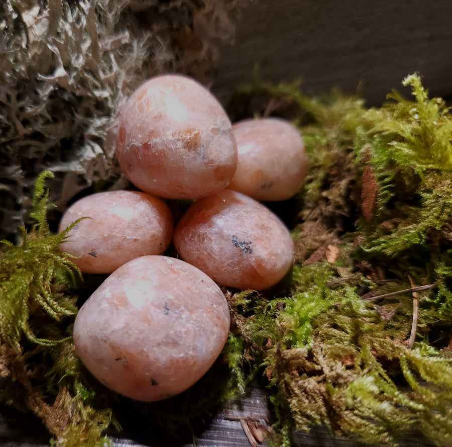 A collection of polished sunstone tumbles displayed on a bed of moss.