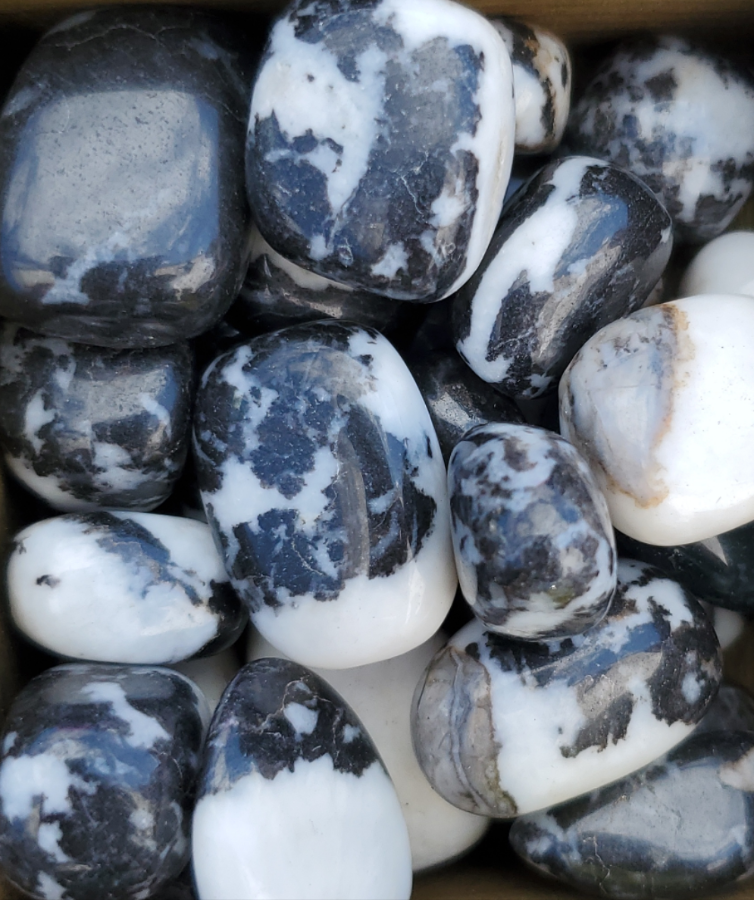 Zebra Jasper Tumbles