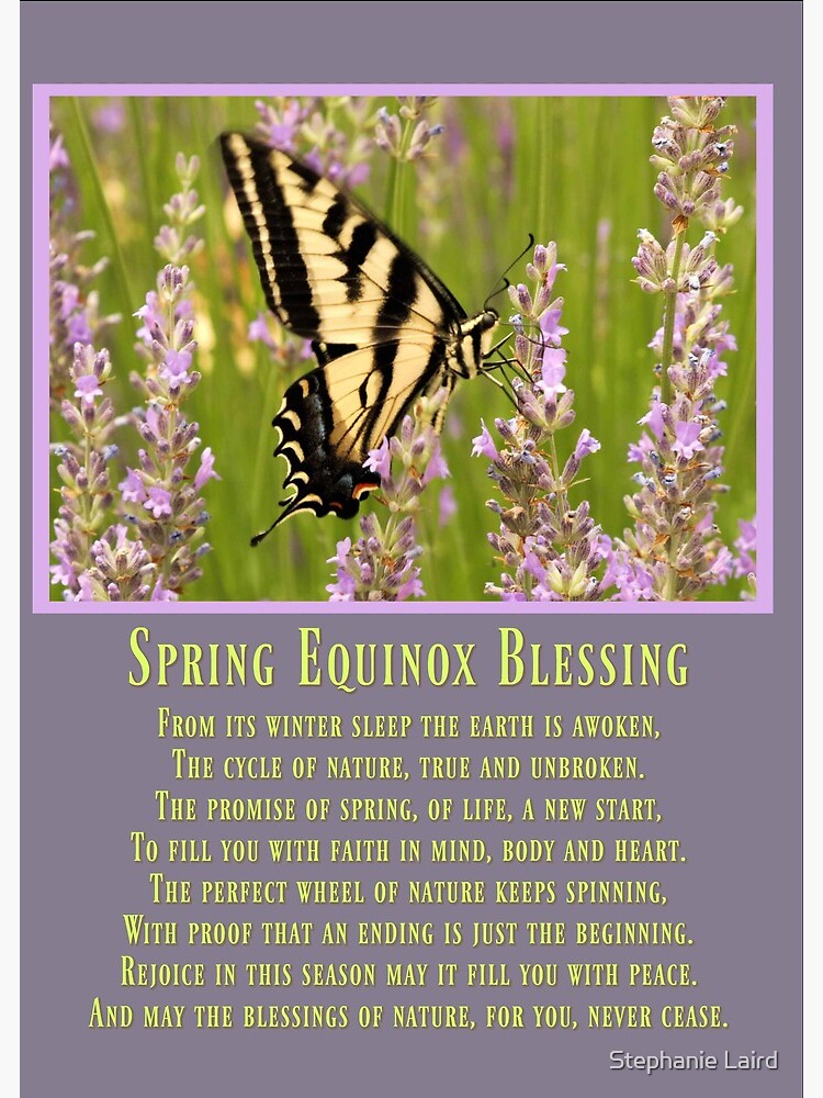 Spring Equinox - A Time of Renewal