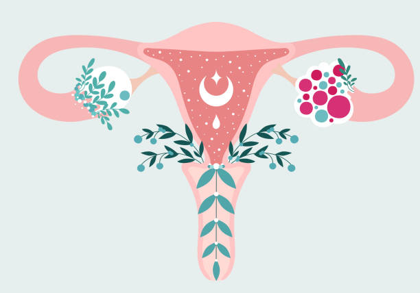 Herbs - Uterus Owners