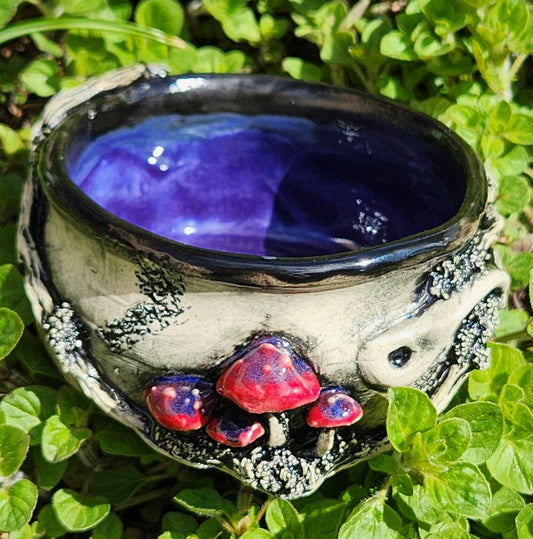 Mushroom Bowl