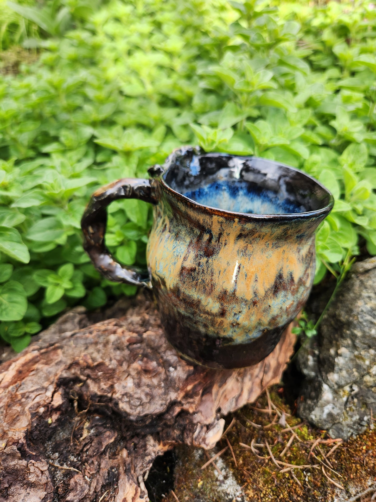 Branch Cup 3
