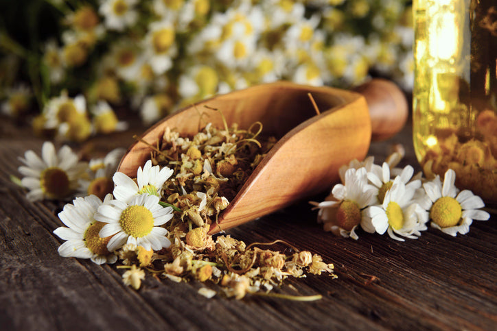 Herbs - Beauty and Skin Care