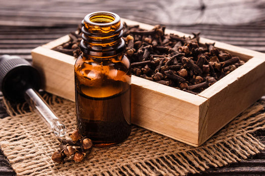 Clove Essential Oil 5ML