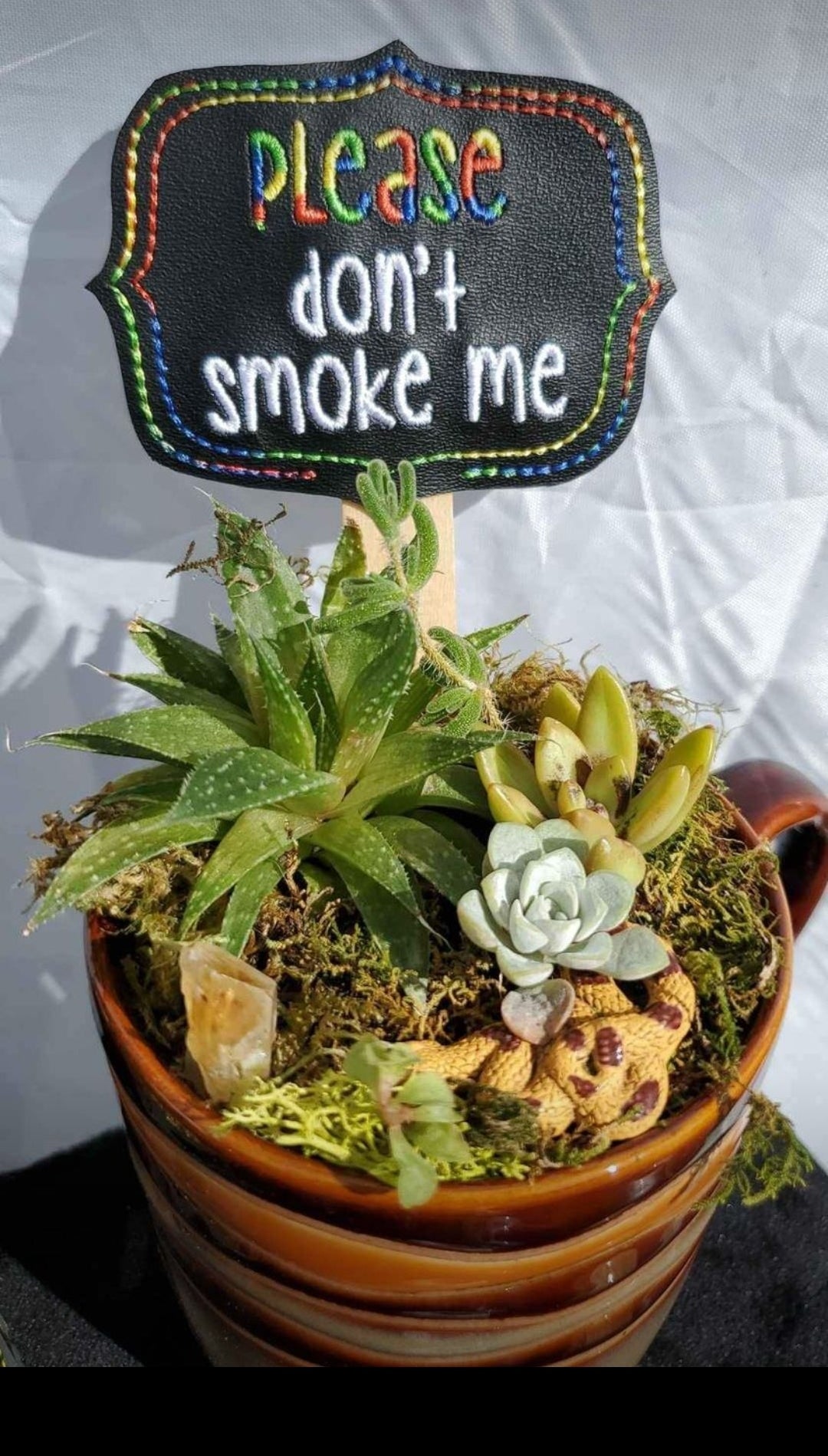 Silly Plant Signs